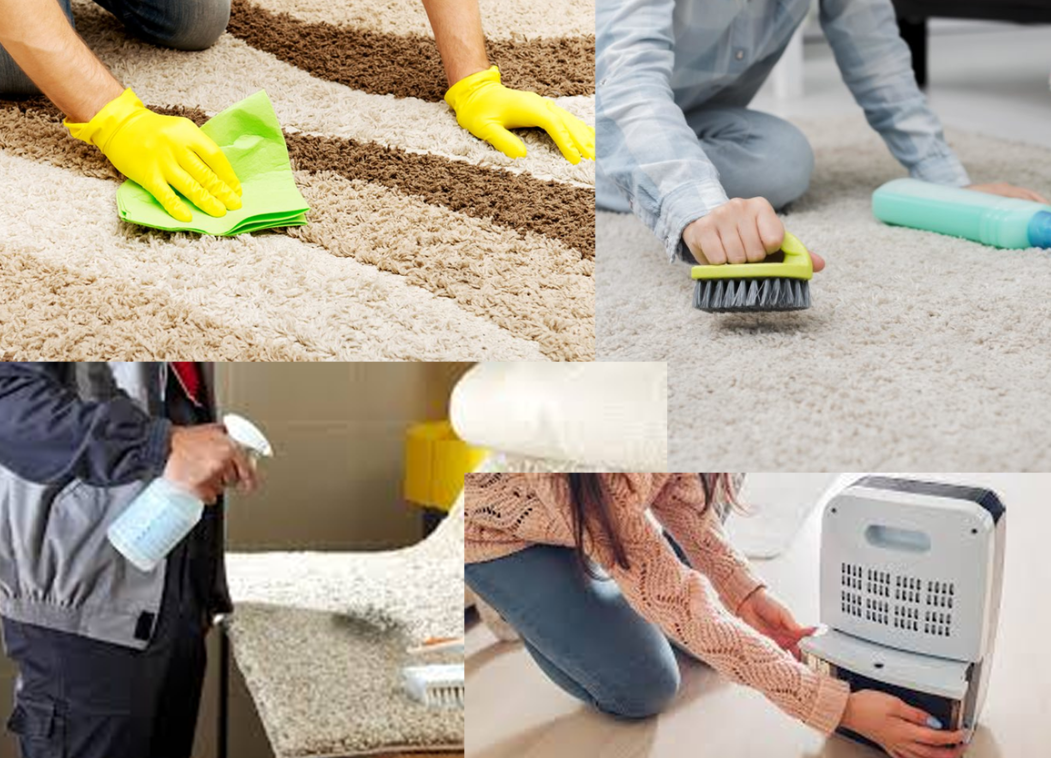 Cara Mengeringkan Karpet yang Tepat di Musim Hujan agar Tidak Bau Apek