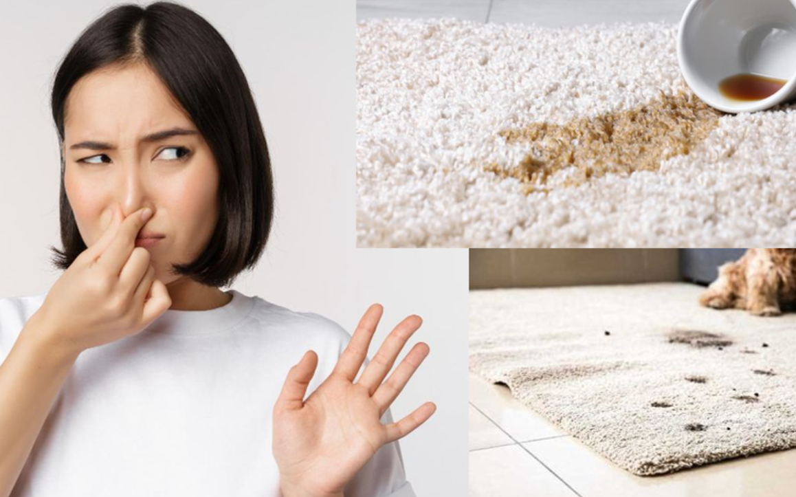 Penyebab Karpet Berbau Tak Sedap