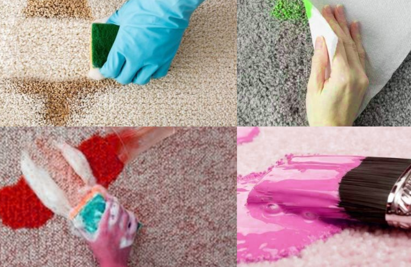Tips Menghilangkan Noda Cat dari Karpet