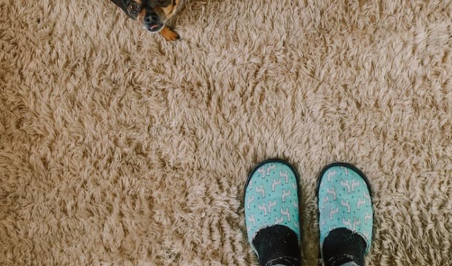 Karpet Baru Anda Bau? Begini Cara Menghilangkan Baunya!