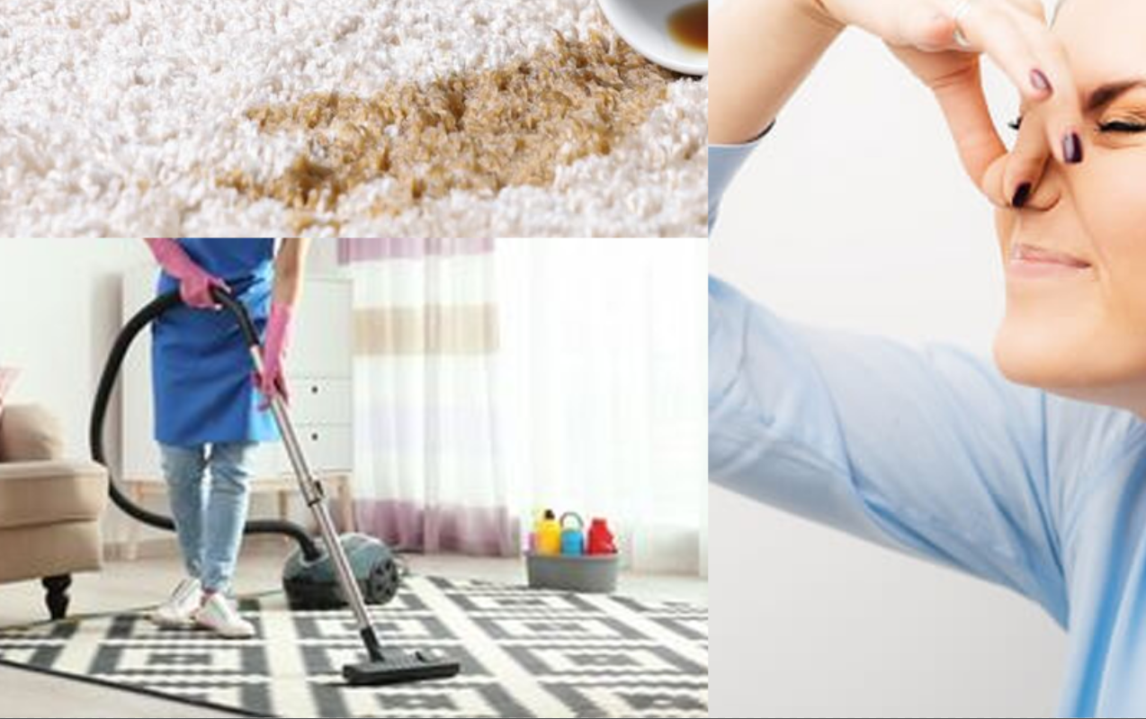 Cara Mengusir Bau Tak Sedap Pada Karpet Sebelum dan Setelah Imlek 2024