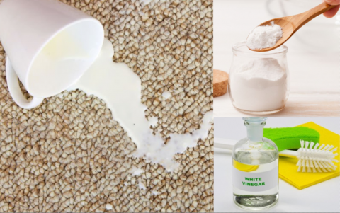 Tips Hilangkan Noda dan Aroma Susu pada Karpet
