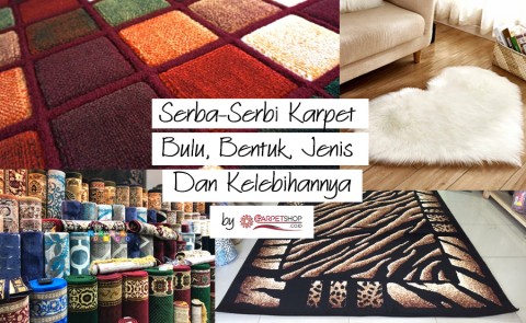 Serba-Serbi Karpet Bulu, Bentuk, Jenis Dan Kelebihannya