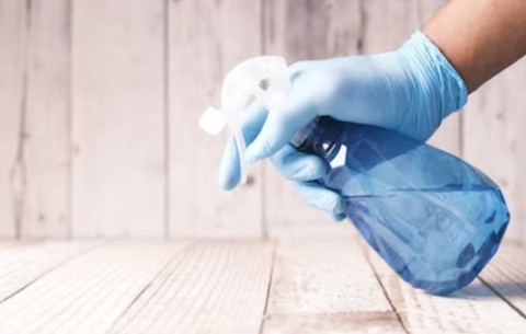 Cara Membuat Disinfektan untuk Karpet