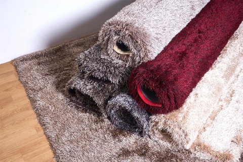 7 JENIS KARPET BULU