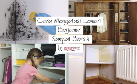 Cara Mengatasi Lemari Berjamur Sampai Bersih