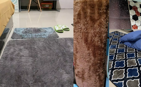 Perbedaan Karpet Bulu dan Karpet Busa