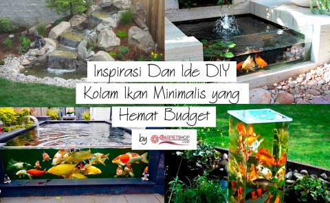 Inspirasi Dan Ide DIY Kolam Ikan Minimalis yang Hemat Budget