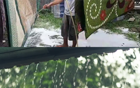 Cara Mencuci Karpet Di Musim Hujan
