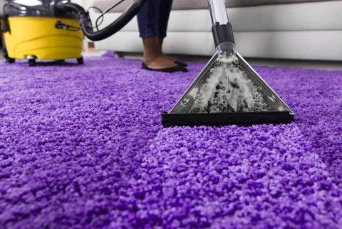 Cara Mudah Dan Efektif Mencuci Karpet Bulu Dirumah
