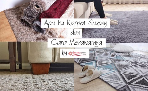 Apa Itu Karpet Saxony dan Cara Merawatnya