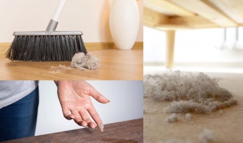 Tips Membersihkan Rumah bagi Penderita Alergi