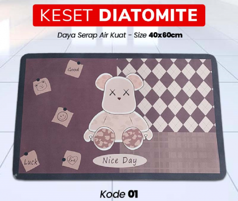 Pentingnya Menggunakan Keset Diatomite