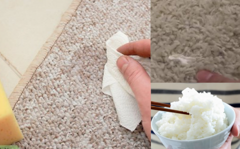 Tips Membersihkan Nasi Yang Tumpah Di Karpet