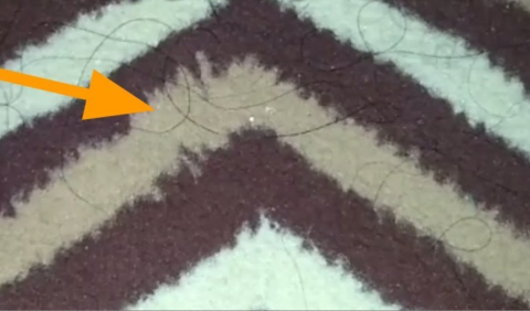 Cara Membersihkan Rambut Rontok Pada Karpet